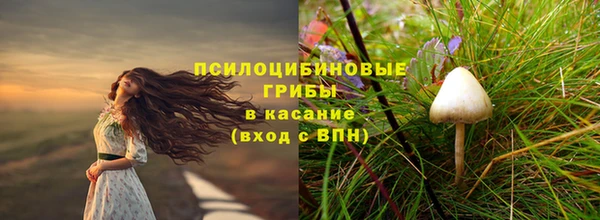дживик Баксан