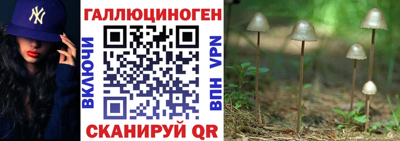 Купить где  Бабаево  Галлюциногенные грибы прущие грибы 